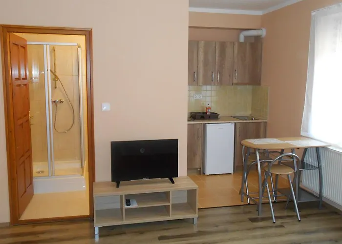 Diofa Vendeghaz Έγκερ